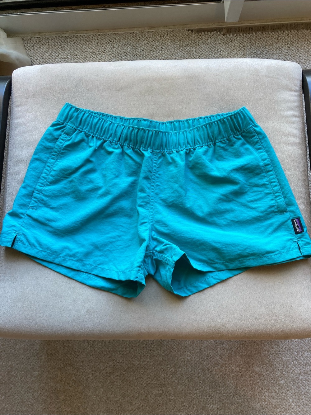 Patagonia Women's Teal Athletic Shorts